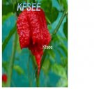 Kfsee 6000Pcs A Set  Carolina Reaper Peppers seed