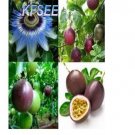 Kfsee 200Pcs A Set  Passiflora fruit seed