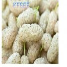 Kfsee 6000Pcs A Set white mulberry fruit seed