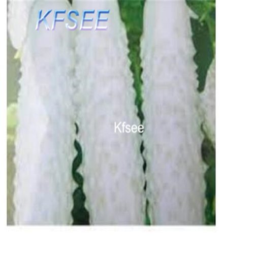 Kfsee 500Pcs A Set white cucumber fruit seed