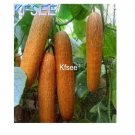 Kfsee 500Pcs A Set yellow cucumber fruit seed