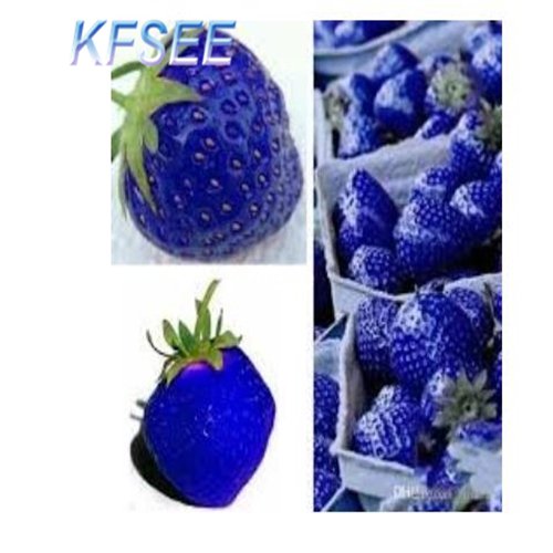 Kfsee 6000Pcs A Set Blue Strawberry seed