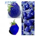 Kfsee 6000Pcs A Set Blue Strawberry seed