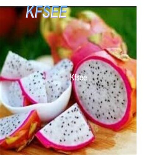 Kfsee 1000Pcs A Set  Pitaya Tree seed