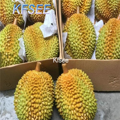 Kfsee 10Pcs A Set durain Tree seed