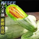 Kfsee 300Pcs A Set yangjiaomi sweet melon Fruit Seed