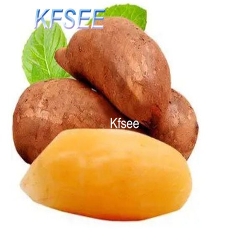 Kfsee 10Pcs A Set Smallanthus sonchifolius Fruit Seed