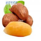 Kfsee 10Pcs A Set Smallanthus sonchifolius Fruit Seed