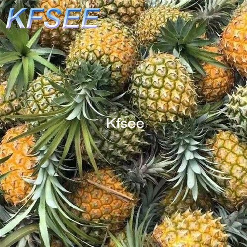 Kfsee 10Pcs A Set Ananas comosus seed