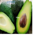 Kfsee 5Pcs A Set Persea american fruit seed