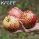 Kfsee 500Pcs A Set ugly apple  fruit seed