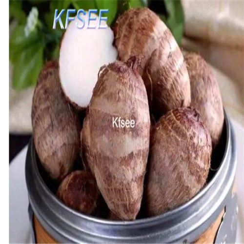 Kfsee 10Pcs A Set Colcasia vegetable seed