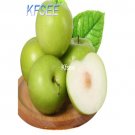Kfsee 20Pcs A Set green jujube date seed