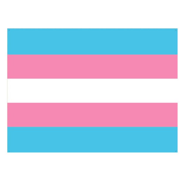 Aerlxemrbrae flag rainbow new transgender flag 5ft * 3 ft - 100% Polyester Gay Pride gay flag