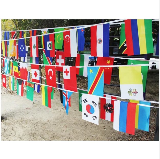 20*30cm String flag 100 countries around the world nations flag small flag , hanging flags