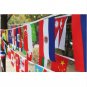 free shipping BUNTING of FLAGS ALL 32 TEAMS Flag14*21cm or 20x30cm String flag