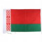 Free Shipping 90*150cm Hanging Belarus National Flag Office/Activity/parade/Festival Belarus flag