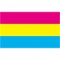 Free shipping aerlxemrbrae flag Pansexual Flag 5x3FT-100% Polyester With 2 buckle-Gay Pride Rainbow.