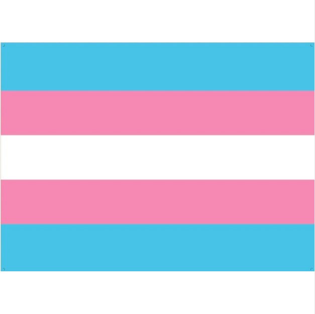 what does blue and pink flag mean