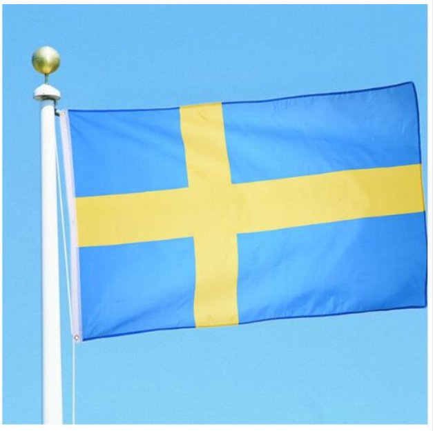 Free Shipping 90*150cm Large Sweden Flag Polyester The Swedish National Banner Home Decor