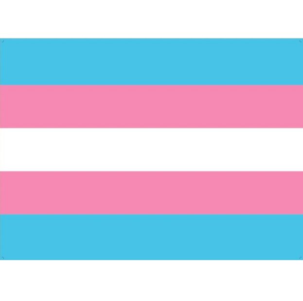 Blue+Pink Lgbt flags Homosexuality banners 3colours Rainbow flag size 5*8FT gay banner