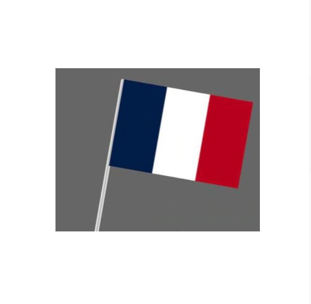 free shipping 100pcs/lot french hand flag with 14cm*21cm waving the flag france hand flag