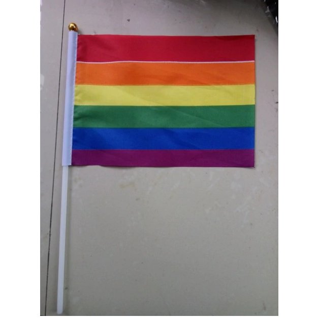 500Pcs 14*21Cm A plastic Stick Rainbow Hand flag/ Car Flags/American flag Lesbian Gay Pride