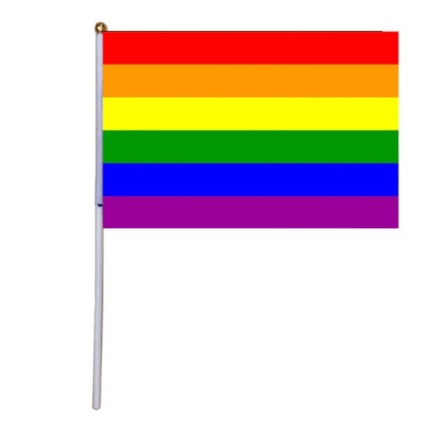 100Pcs 14*21Cm A plastic Stick Rainbow Hand flag/ Car Flags/American flag Lesbian Gay Pride