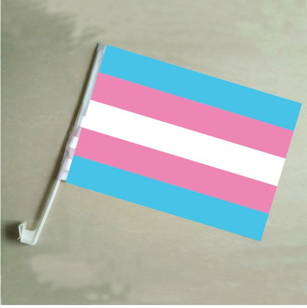 2Pcs 30*45Cm A plastic Stick Rainbow Hand flag/ Car Flags/Lesbian Gay Pride