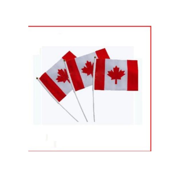 100Pcs 14*21Cm A plastic Stick Canada hand flag Handflag Pennant Of Canada