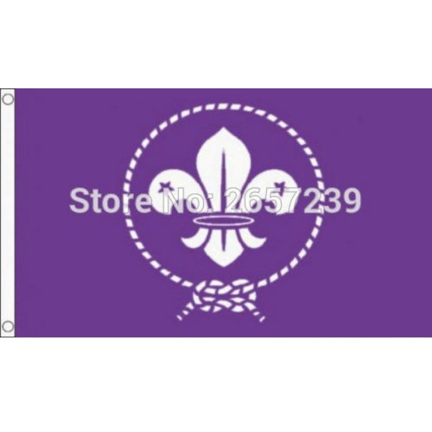 BOY SCOUT Flag 3x5FT banner 100D 150X90CM Polyester brass grommets custom66,free shipping