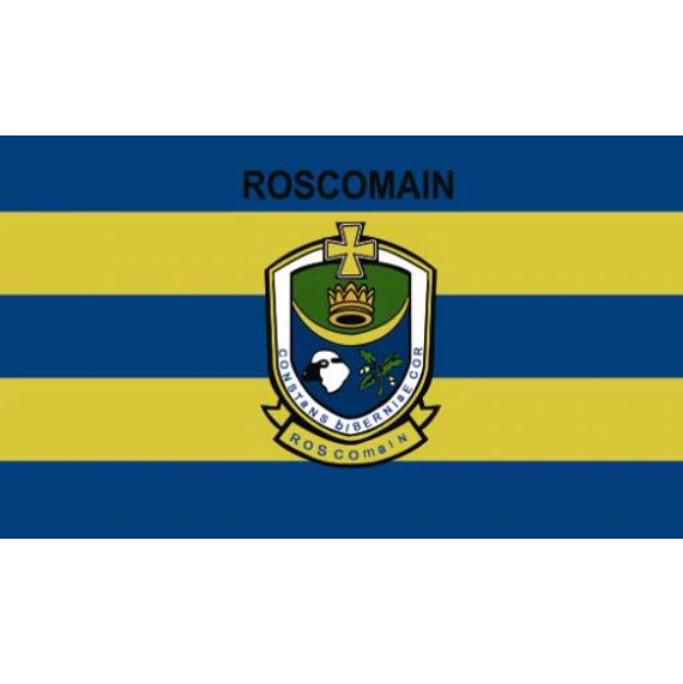 County Roscommon flag Irish State County Flag 3x5FT banner 100D Polyester brass grommets custom66