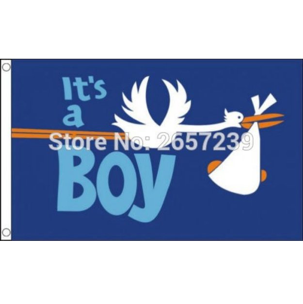 Its a Boy Stork Flag 150X90CM banner 3x5 FT 100D Polyester brass grommets custom005, Free Shipping