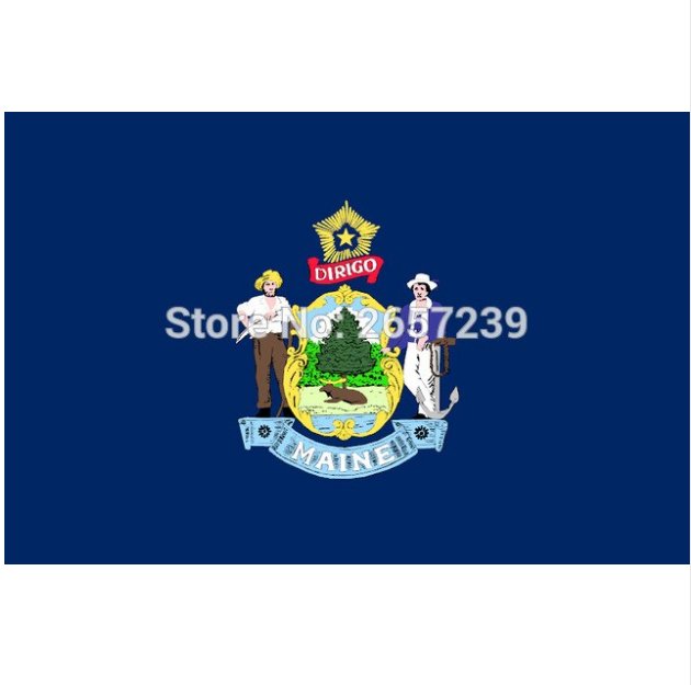 Maine State Flag 3x5FT banner 100D 150X90CM Polyester brass grommets custom66, Free Shipping