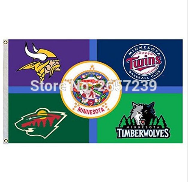 Minnesota State Vikings Twins Wild Flag 3x5FT MLB banner 100D Polyester brass grommets custom66
