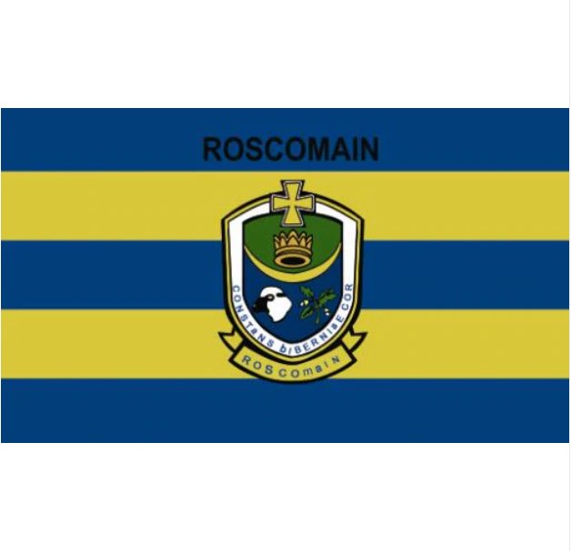County Roscommon flag Irish State County Flag 3x5FT banner 100D Polyester brass grommets custom66