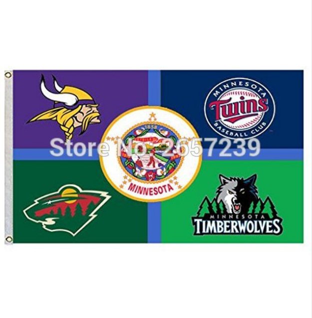 Minnesota State Vikings Twins Wild Flag 3x5FT MLB banner 100D Polyester brass grommets custom66