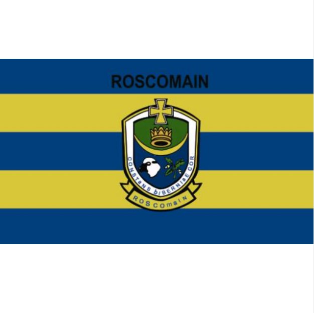 County Roscommon flag Irish State County Flag 3x5FT banner 100D  Polyester brass grommets custom66