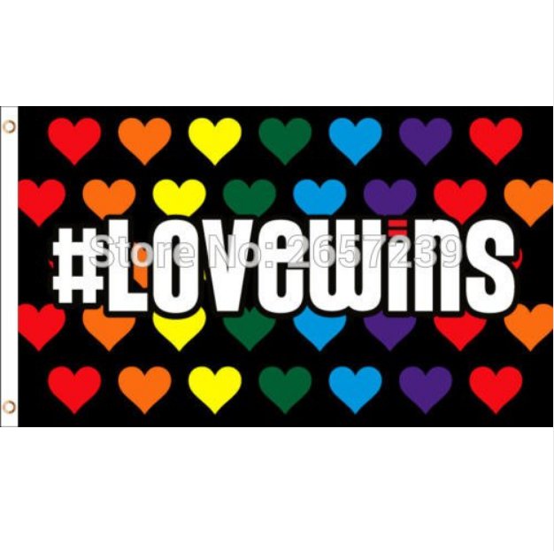 Rainbow Love Wins Pride Flag 3x5FT Team banner150X90CM 100D Polyester brass grommets custom