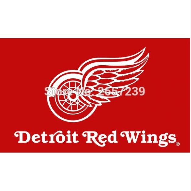 Detroit Red Wings wordmark NHL Flag 3x5FT banner 100D 150X90CM Polyester brass grommets custom66