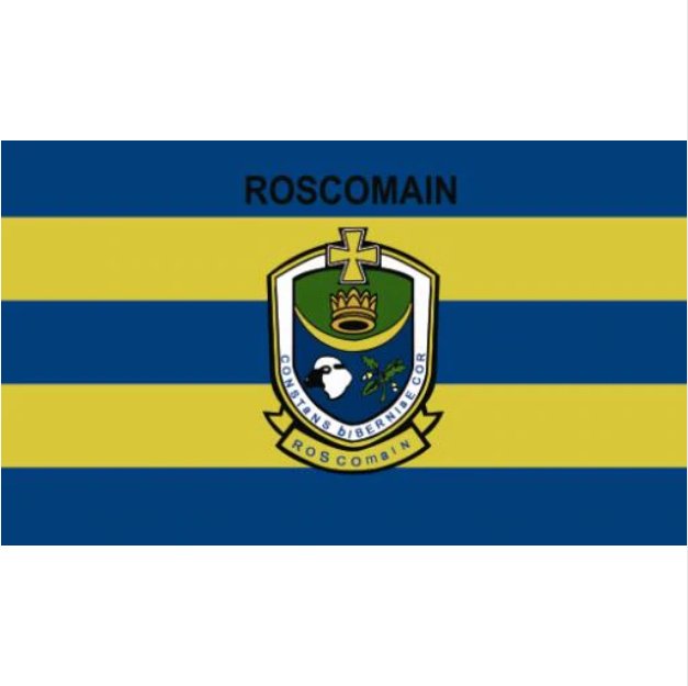 County Roscommon flag Irish State County Flag 3x5FT banner 100D Polyester brass grommets custom66