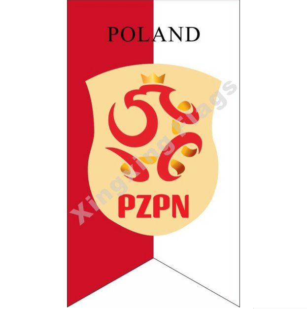 2018 Russian World Cup 32 Team flag Polyester Banner 125x70cm Custom Flag 32 national football team