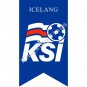 2018 Russian World Cup 32 Team flag Polyester Banner 125x70cm Custom Flag 32 national football team