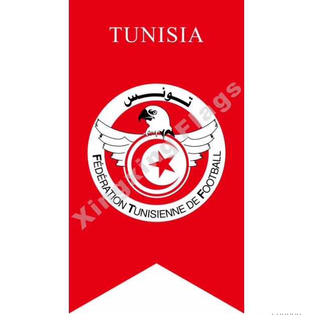 2018 Russian World Cup 32 Team flag Polyester Banner 125x70cm Custom Flag 32 national football team