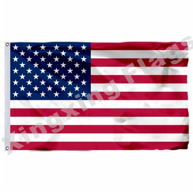 U.S.A 1960 Flag With Shaft 3x5ft Polyester Estonia National Flag Flying Size No.4 90x150cm Custom