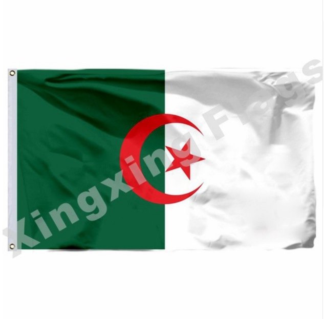90x150cm Hanging Algeria Flag Algiers Flags For World Cup National Day Olympic Games