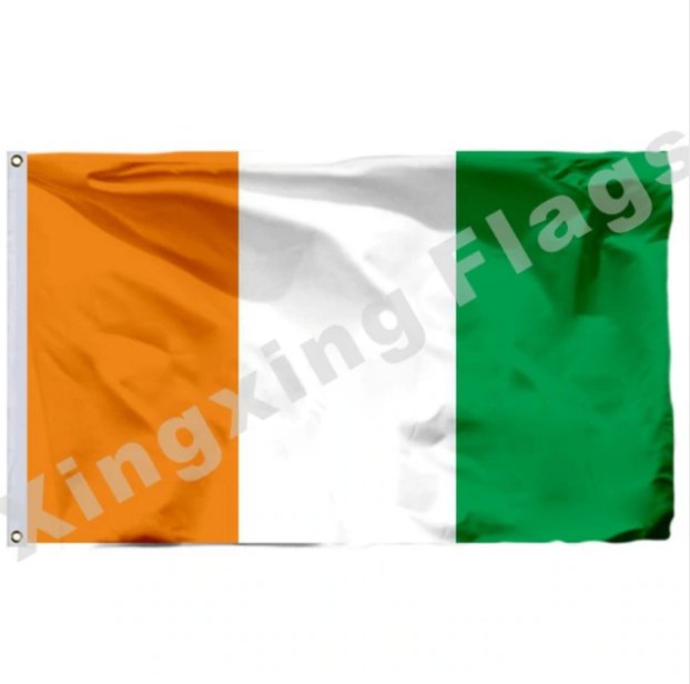 Cote D'Ivoire Flag 3ft X 5ft Polyester Country Flag Flying Size No.4 90x150cm Custom Flag