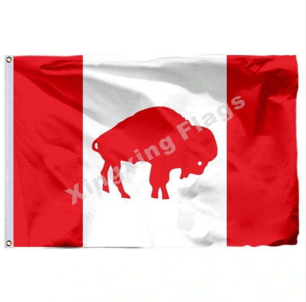 Buffalo Bills Canada Flag 3x5ft Polyester NFL1 Team Banner Flying Size No.4 90*150cm Custom Flag