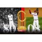 Baseball Flag 3ftx5ft 100D Polyester Flag metal Grommets 90x150cm flag 983