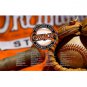 Baseball Flag 3ftx5ft 100D Polyester Flag metal Grommets 90x150cm flag 981
